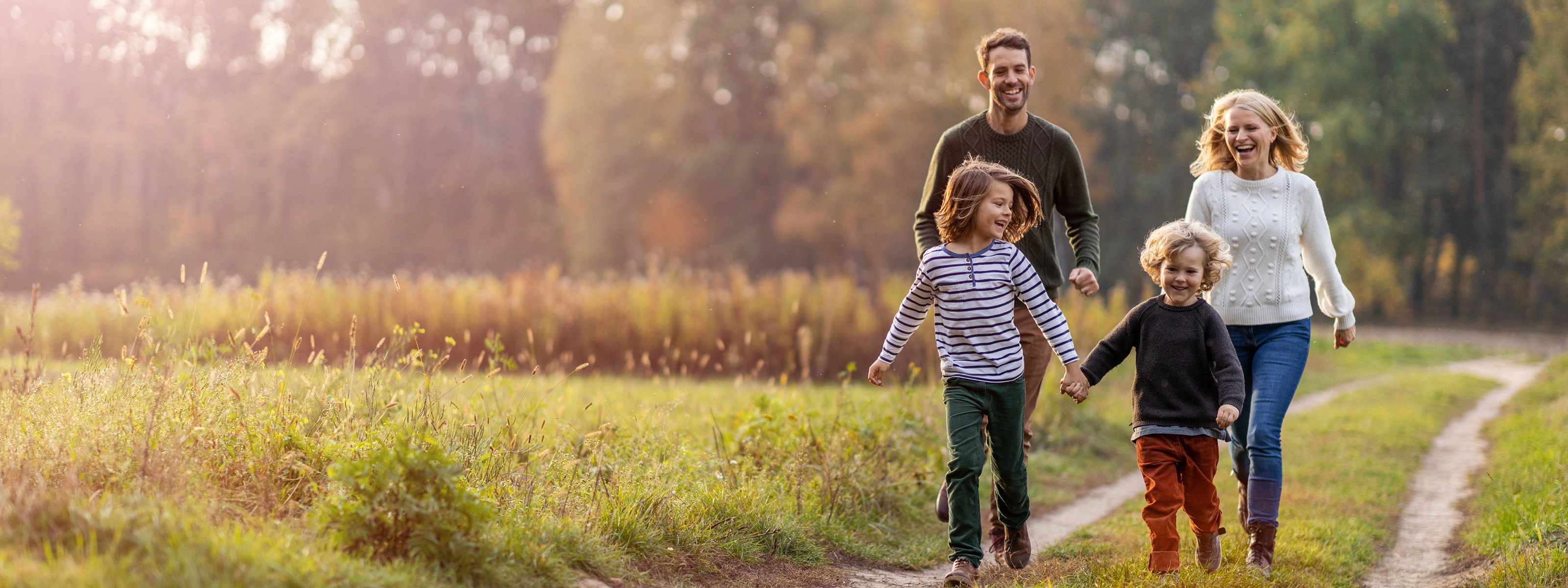 dt_personalWebsite-AdobeStock_129524523-cropped